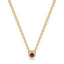 Iiluminate halo necklace ruby