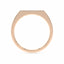 Harmony bar ring diamond