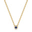 Iiluminate halo necklace sapphire