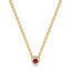 Iiluminate halo necklace ruby