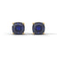 Strength 1ct cushion cut studs sapphire